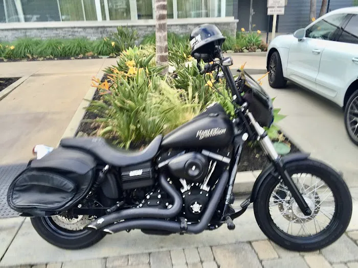 South County Cycles 6