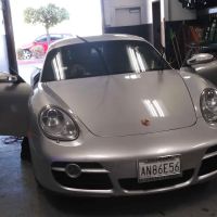 Global Window Tint