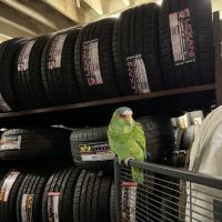 SOCAL TIRE DEPOT