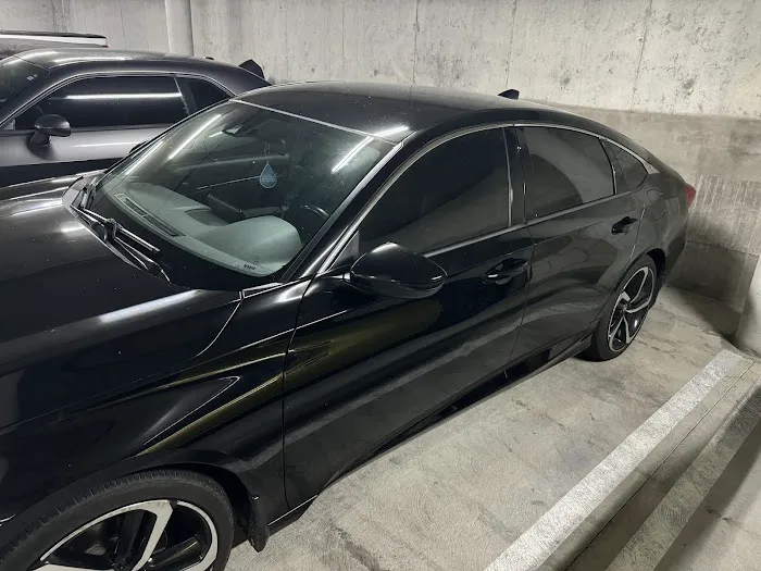 Elite Image Tinting 0