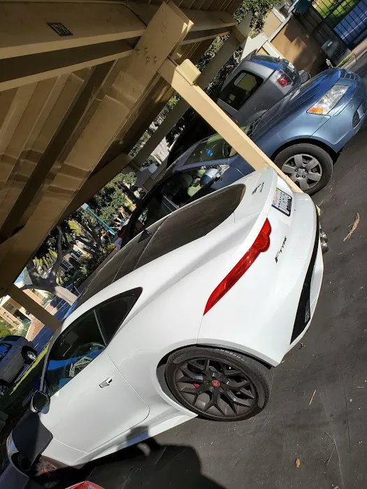 Zero Chip Autoglass 5