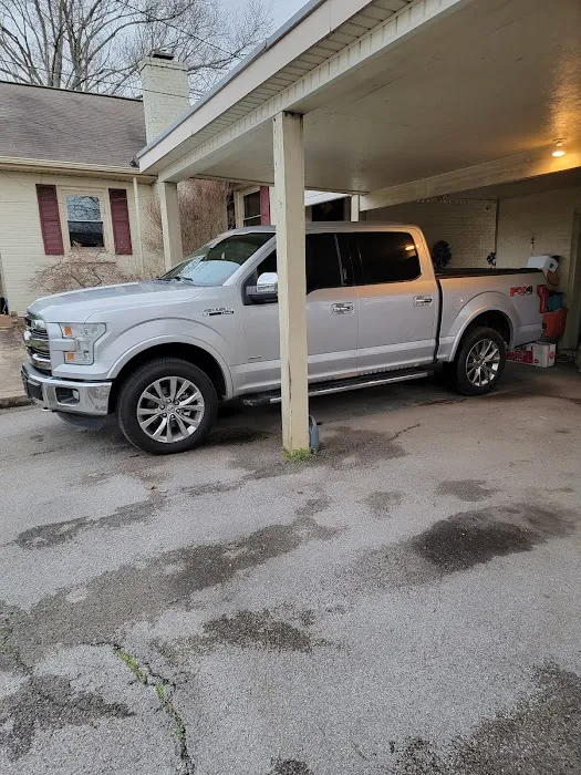 Professional Tint 5