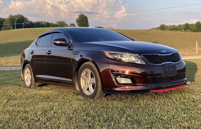 Professional Tint 2