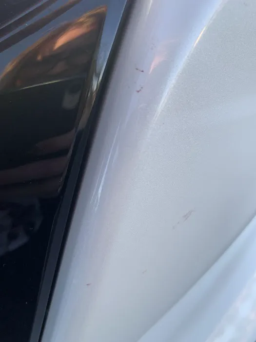 Professional Tint 4