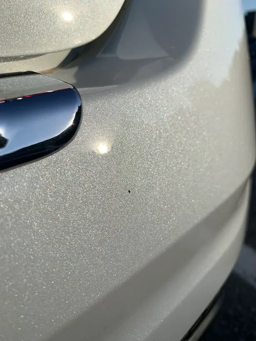 Professional Tint 1