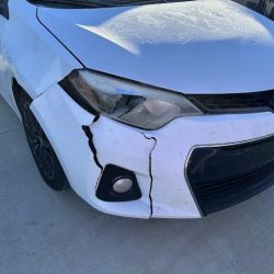 Mt Leo Custom Paint & Body ico