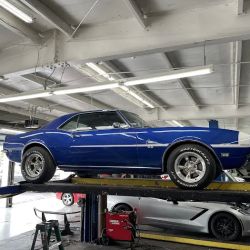 Freedom Automotive Tire & Service Center ico
