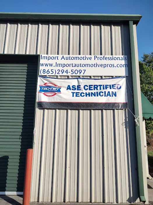 Import Automotive Professionals 8
