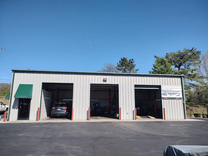 Import Automotive Professionals 7