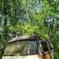 Asheville Vee Dub