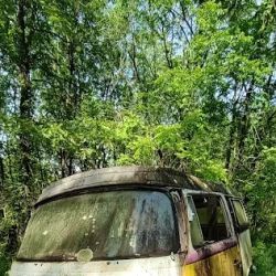 Asheville Vee Dub ico