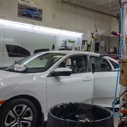 The Tint Shop ico