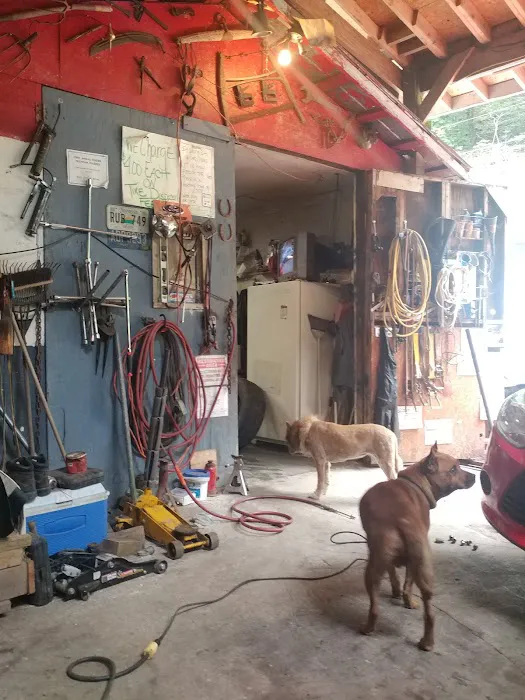 Upper Middle Creek Tire 6