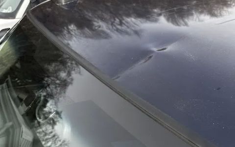 Action Auto Glass