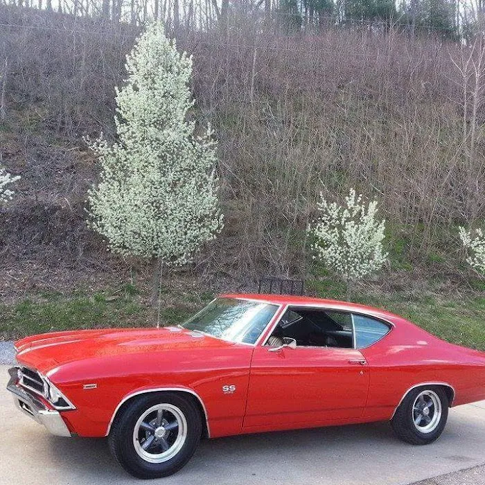 Westside Automotive 3