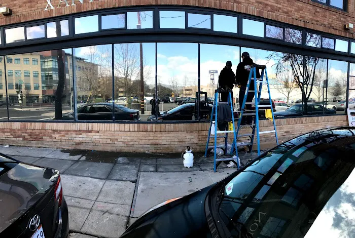 Sierra Nevada Window Tint 8