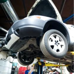 True Family Auto ico