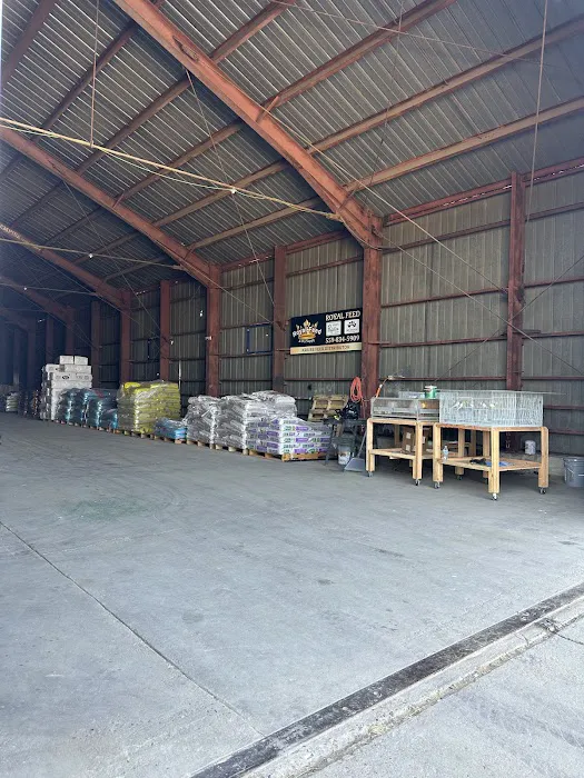 THE BERBER DIESEL SHOP 8