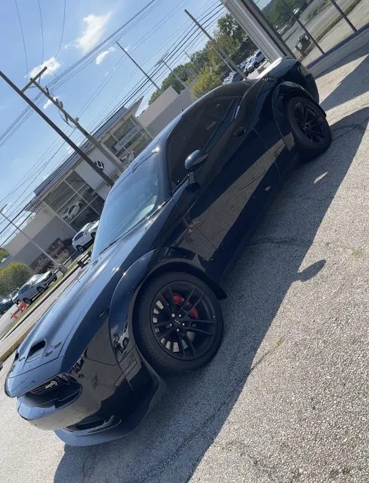 EliteBlackout Window Tint 6