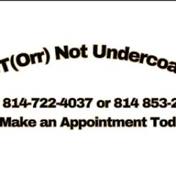 Rust(Orr)Not Undercoating ico