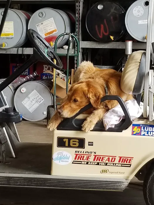 Lube Plus Oil Change Center 1