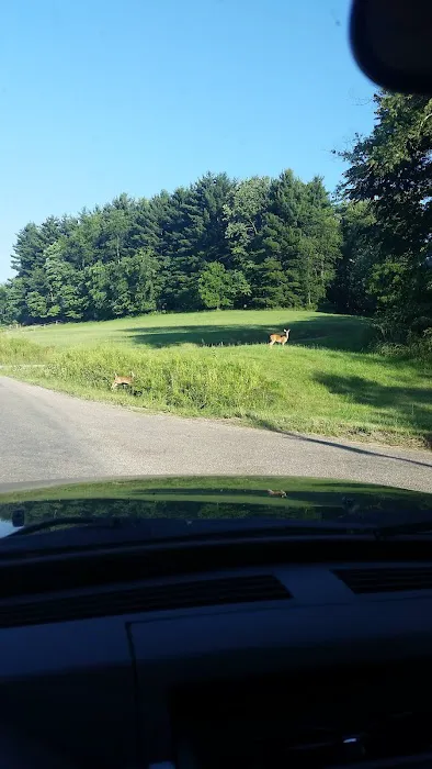 Pine Hill Auto 2