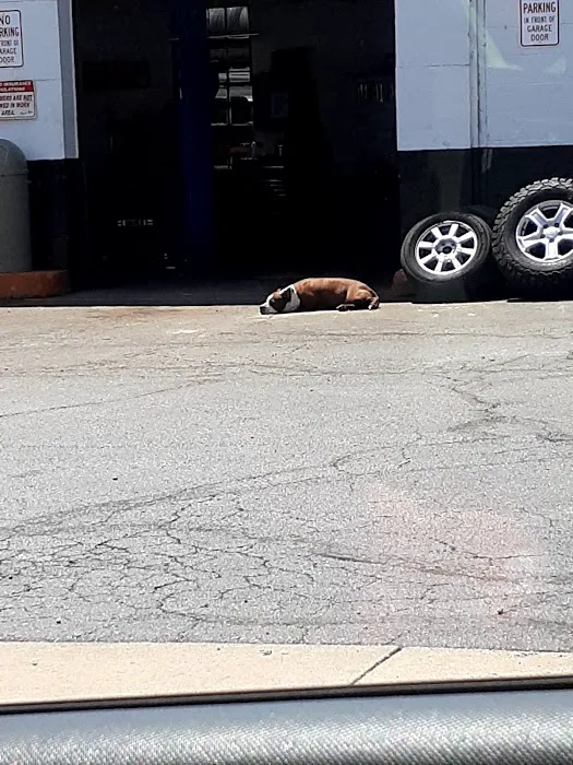 Hi-Way Tire 4