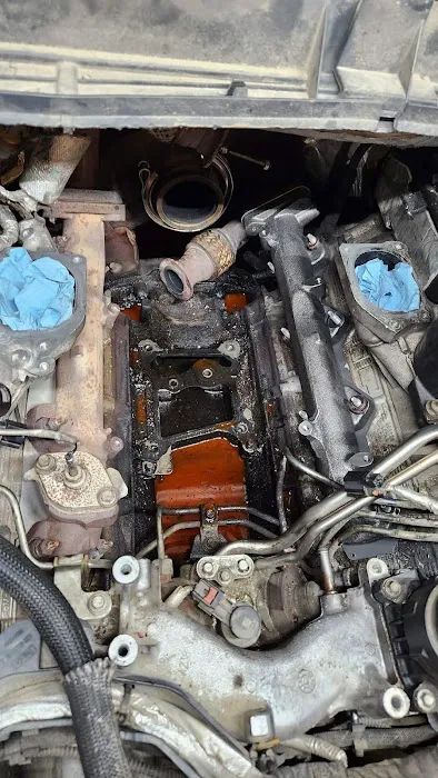 Bear Auto Repair 2
