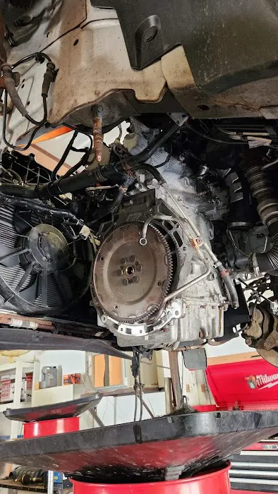 Bear Auto Repair 0