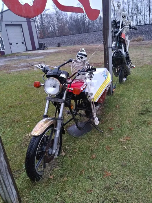 Shade Tree Cycles 3