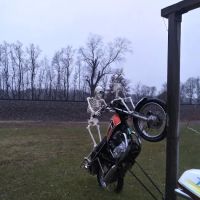 Shade Tree Cycles