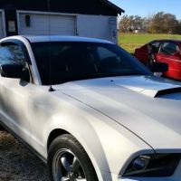 Mark's Body Shop Inc