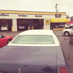 SAS Tire and Auto Technet Professionals ico