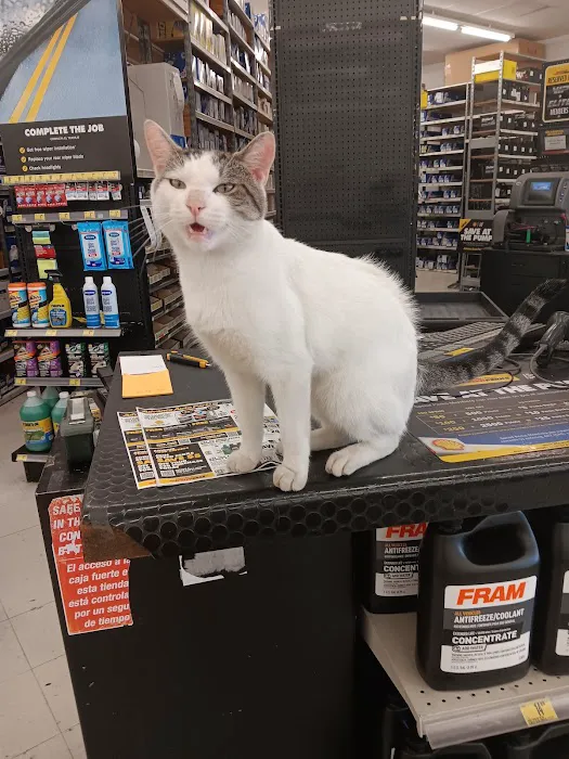 Advance Auto Parts 4