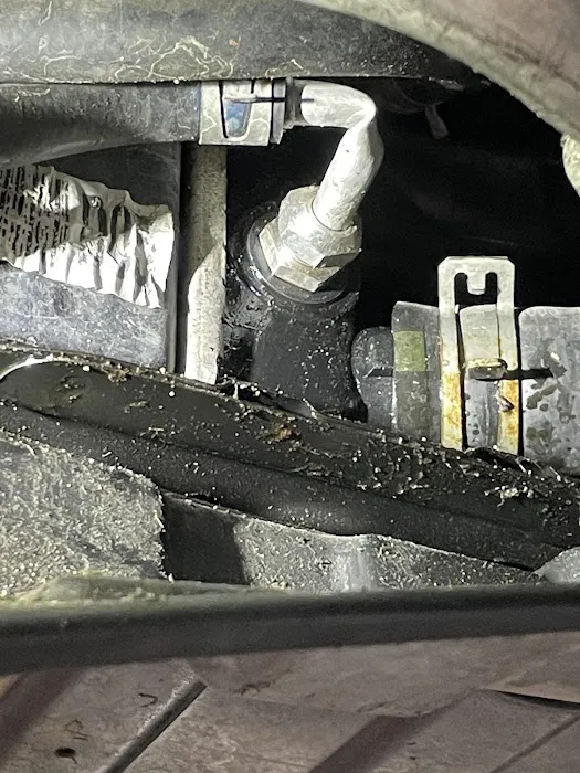 Randy Wise Hyundai Service 3