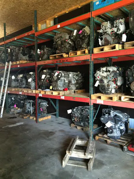 Lee Auto Export 8