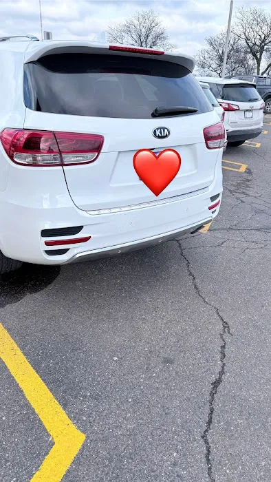 Michigan Auto Collision 3