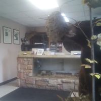 Jim's Garage Inc