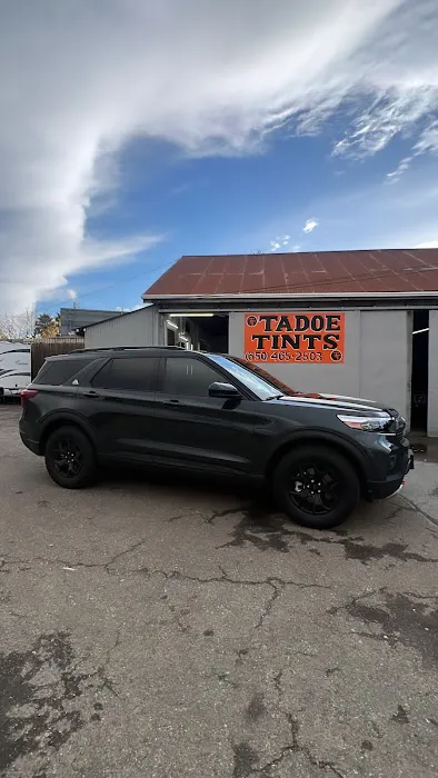 Tadoe Tints 7