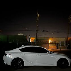 Tadoe Tints ico