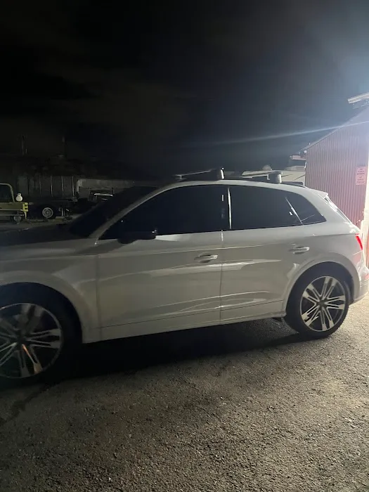 Tadoe Tints 6