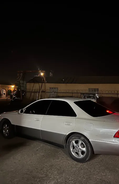Tadoe Tints 2