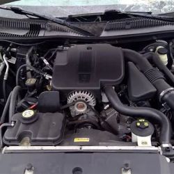 Best Quality Auto Parts LLC ico