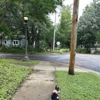 Ameritint of Minnesota, LLC