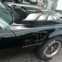 T & T Auto Body ico