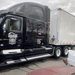 Lesmeister Fleet Service ico