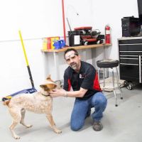 BG Automotive