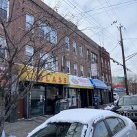 Midwood Glass & Shade