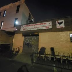 New York State Inspection Station ico