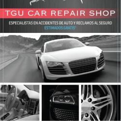 TGU Car Repair Shop LLC ico